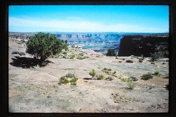 Down Side Canyon to Fort Bottom