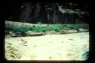 "Chariot," middle of Lava Falls