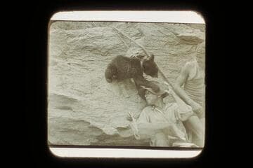 "Cataract," the cub bear