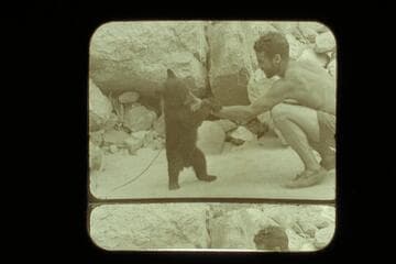 "Cataract," the cub bear