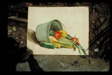 Still life by F. Holmstrom