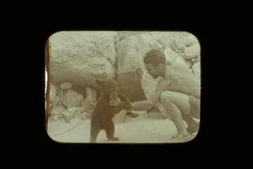 "Cataract," the cub bear