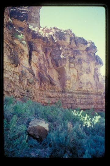 JAME rock; Nine Mile Canyon