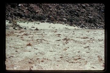 Across lower end Badger Rapid from right bank, prel. gauge 5850 cfs