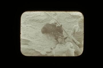 "Cataract," the cub bear