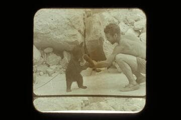 "Cataract," the cub bear