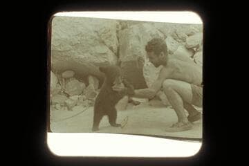 "Cataract," the cub bear