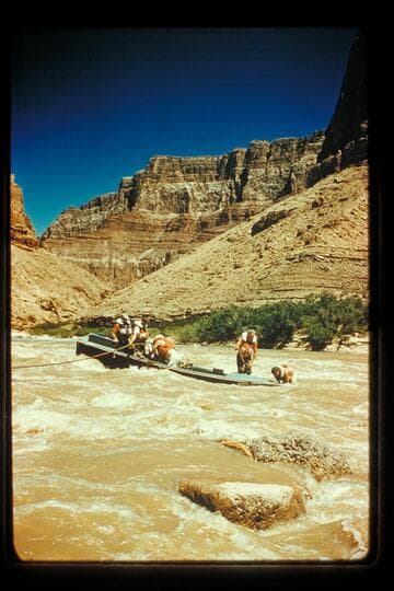 "Kitty" on rocks; Little Colorado River