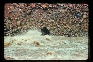 "No Name" in Hance Rapid