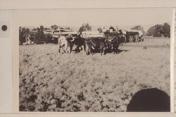 Motorboat enroute from Flagstaff to Lees Ferry