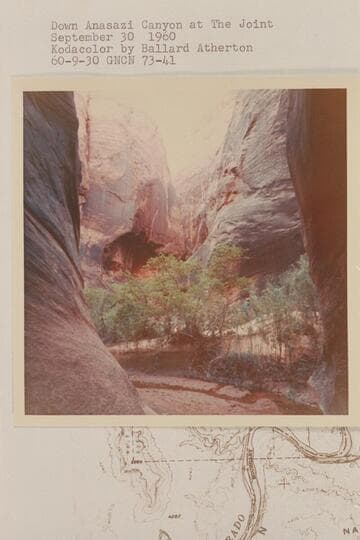 Down Anasazi Canyon at The Joint