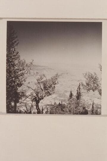 Fifty Mile Mountain at upper left. Glen CAnyon crosses thru lower center. From the lookoout point on top of Navajo Mountain