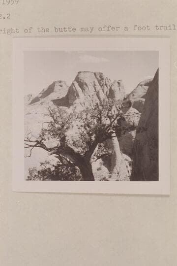 View back into middle fork of 73 from trail into southwest fork. The gorge at right of the butte may offer a foot trail into northeast fork