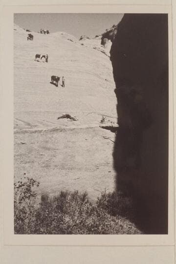 Down the slick rock into head of northeast fork of 73.6--Lehi Canyon
