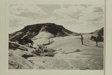 The packs moving out from the rendezvous near the Little Gray Mesa north of Anasazi Canyon
