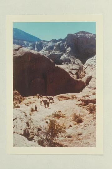 Head of northeast fork of 73.  Navajo Mountain is upper left.  Butte 6069 is upper right