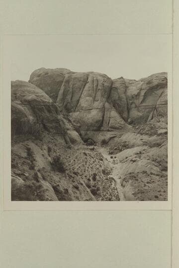 Sheep trails in bottom of southwest fork of 73 viewed from trail from middle fork