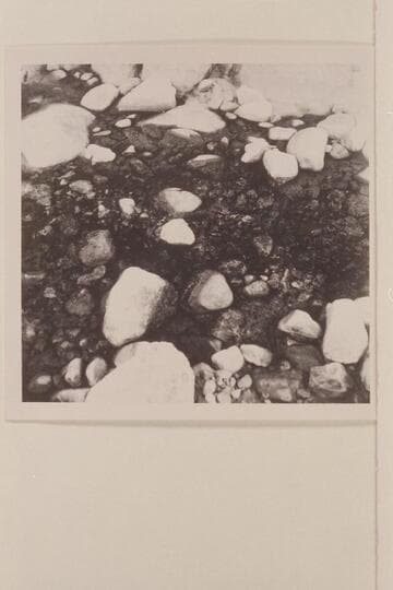 The black water which gives the name of Black Water Creek