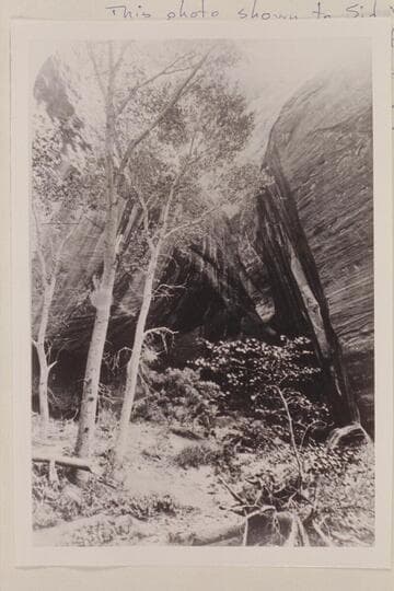 "Views on the Colorado River," Glen Canon Series, Entrance to Music Temple, No. 149.  This photo shown to Sid Whiskers at Navajo Mt. Trading Post, 1957, Sep.  He reported there was no land route permitting the riding of horses to it