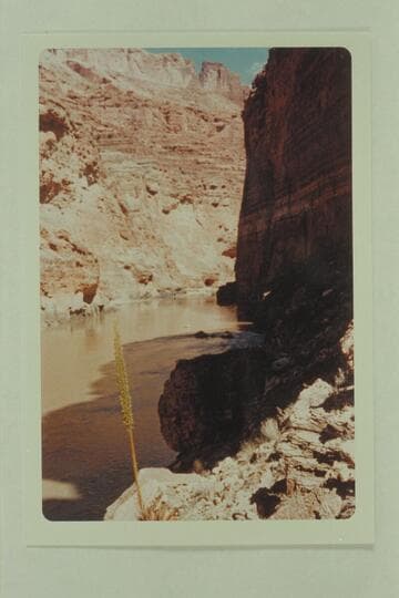 Upstream from head of 36 Mile Rapid; Mile 36