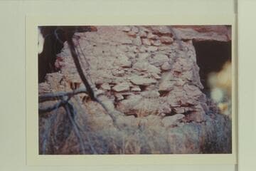 Loopholes in ruin in Chuar Creek