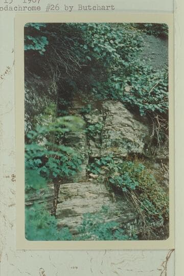 On McDonald route through the Coconino