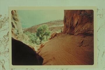 Entrance to "Chamber of Darkness". Approximately 3.5 miles up the Escalante from 25 Mile Wash, left bank