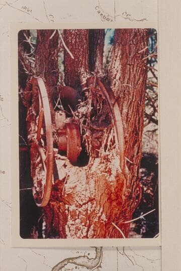 Coffee grinder at the still in Chuar Valley