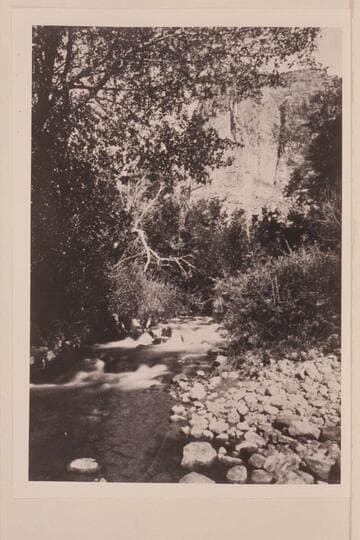 Print from half a stereo: Whirlpool Canon Series, "Mouth of Bishop's Creek." No. 73. The name "Bishop;s Creek" appears on some of the old maps but it is generally known as "Jones Hole Creek."