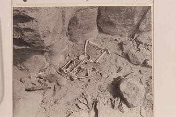 Skeleton above Vaseys Paradise