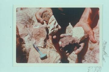 Rock samples from Stanton's Marble Pier at Mile 24.5 left bank in Marble Canyon. Limestone to the left, sandstone to the right (right being hand with just two rocks in it)