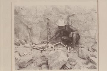 The skeleton and Marston