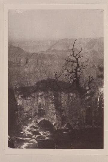 Canyon of the Kaibab.  Best Expedition after they left the river at Lees Ferry.  Copy of print in Edwards collection