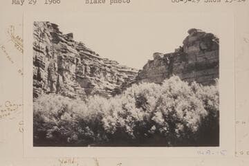 Stillwater Canyon in area of Mile 15. Horse Canyon?