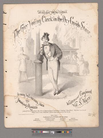 The gay young clerk in the dry goods store / as sung by Emerson, Allen and Manning's Minstrels ; written and composed by Will. S. Hays