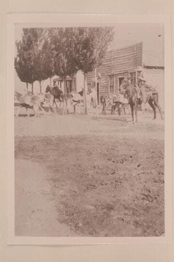 The store and hotel with pack train; Wimmers sheep outfit- Thompson, Utah