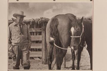 This just isn't the hitch used on horses in the East- Frank Masland, expert on horse flesh. Ready for leaving Navajo Mountain Trading Post for Navajo Canyon
