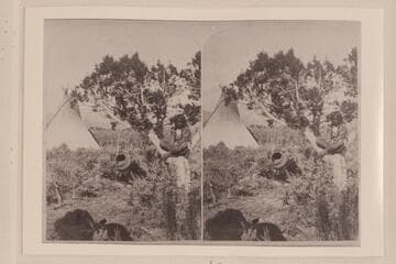 [print from a stereo] The boy in the cedar