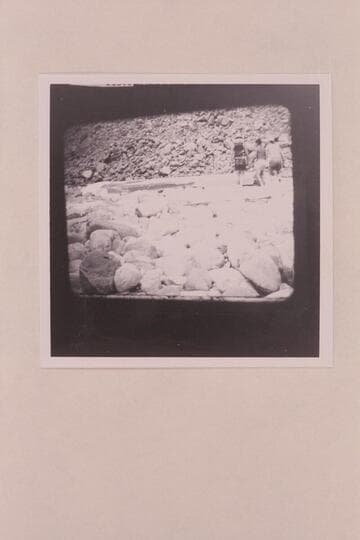 The wreck of the "Ben Hurt" on the island at Rapid No. 20