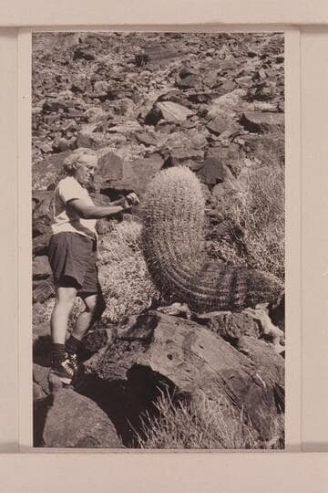 Louis M. Fetzner. Grand Canyon near Nancoweap (?)