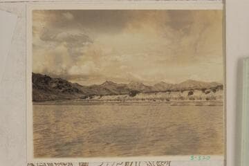 Up river from near Mile 295