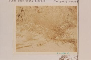 In the canyon of Diamond Creek.  The party camped here