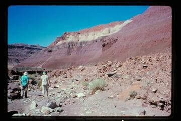 Aleson, Barbara Monroe, Mile 147.5, left bank
