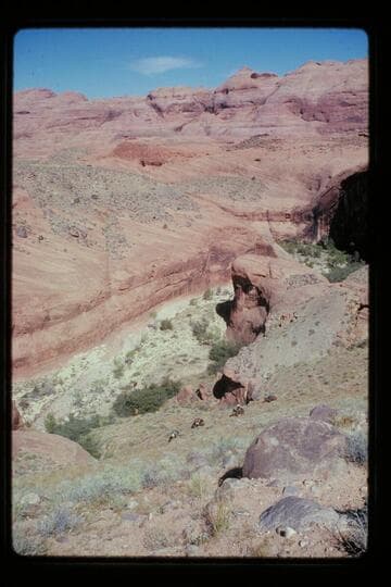 Trail down into Black Water Creek