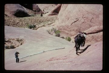 Down the trail into 71.5