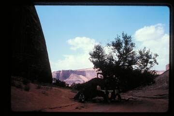 Mile 132.35, left bank