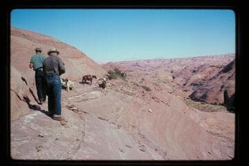 Slick Rock Trail north of Sid Whiskers Butte
