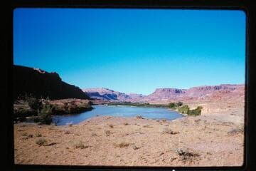 Up from Mile 144.8, left bank