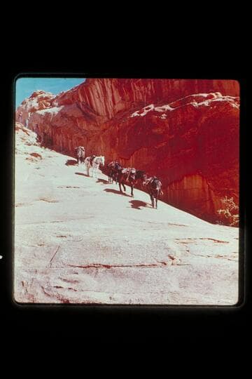 Trail between mouth of Nasja Creek and Dead Center Camp