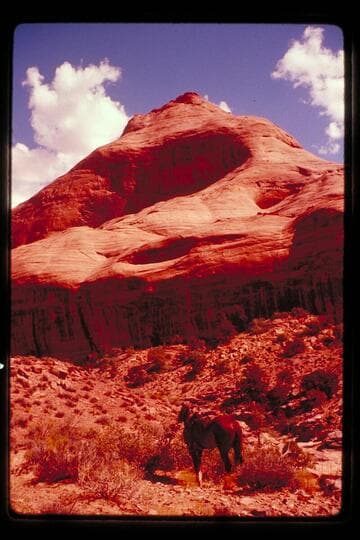 Cha Butte from Bald Rock Canyon